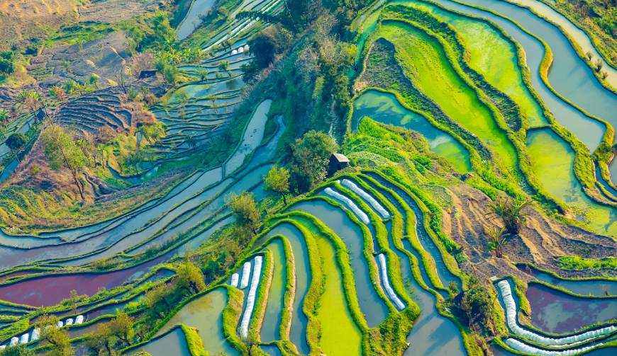 走进道外区TVC拍摄：解锁本地化场景与创意镜头的完美融合
